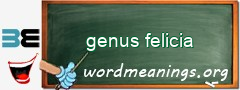 WordMeaning blackboard for genus felicia